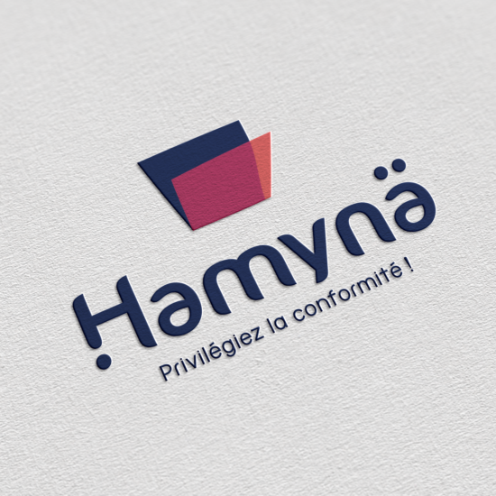 Logo Hamyna