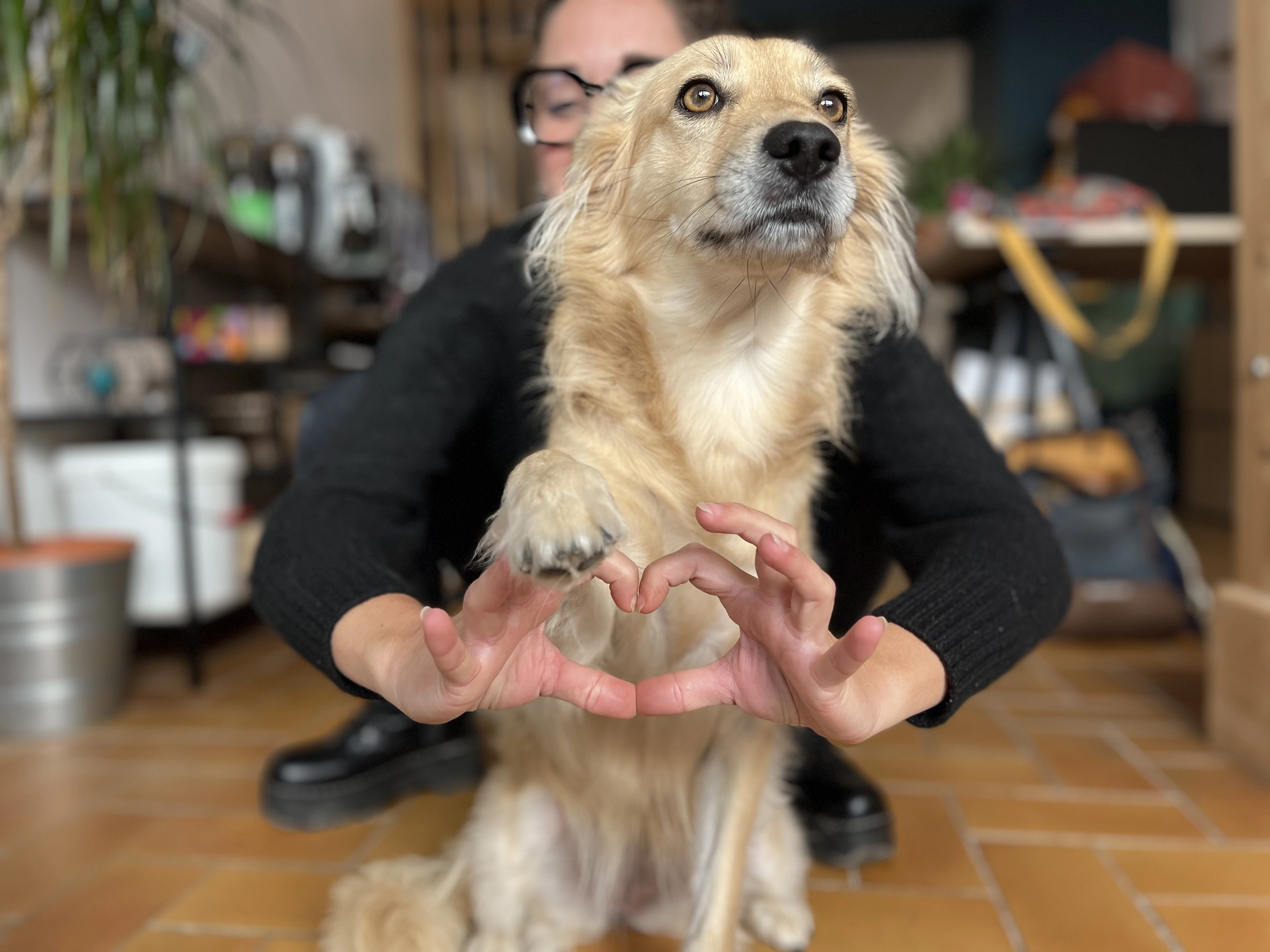 Coeur en papier dans une main posée sur une autre main